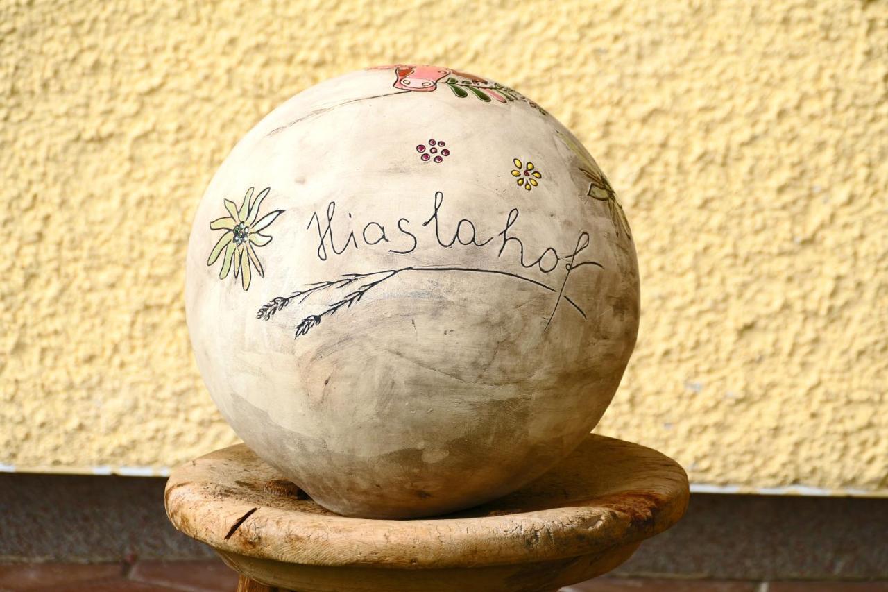 Hiaslahof Apartman Mariapfarr Kültér fotó